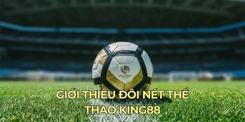 Đôi nét giới thiệu về sảnh thể thao King88