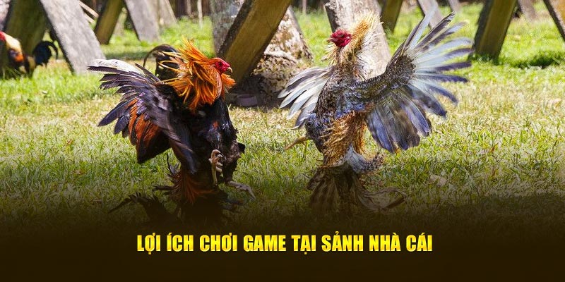 Lợi ích chơi game tại sảnh nhà cái