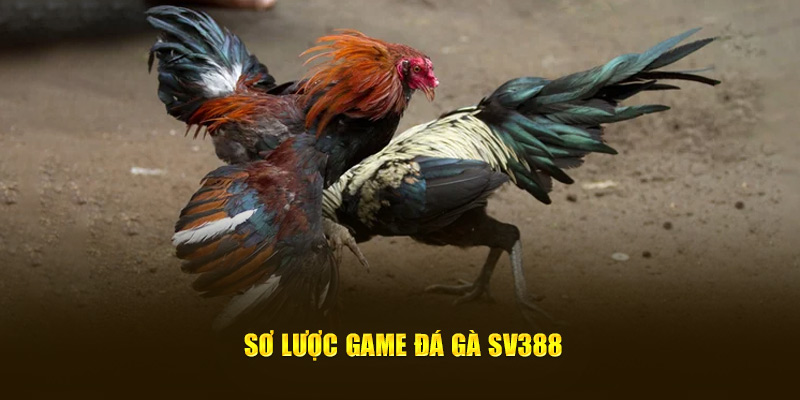Sơ lược game đá gà SV388